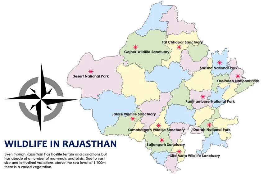 Critically Endangered Arabian Leopard Cubs Born In Saudi Arabia